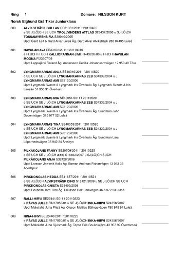 Ring 1 Domare: NILSSON KURT Norsk Elghund GrÃƒÂ¥ Tikar Juniorklass
