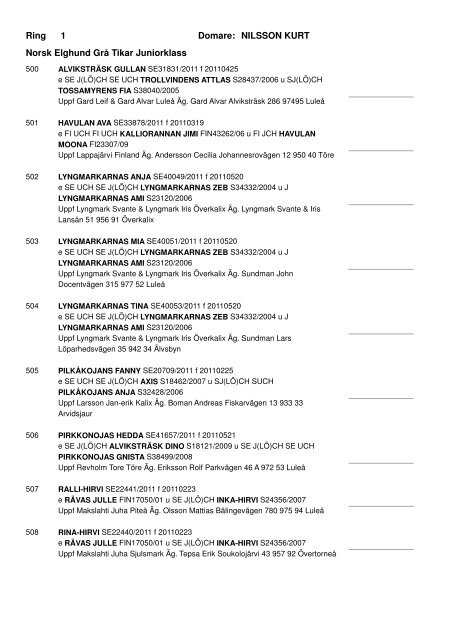 Ring 1 Domare: NILSSON KURT Norsk Elghund GrÃƒÂ¥ Tikar Juniorklass