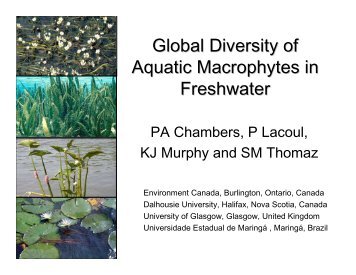 Global Diversity of Aquatic Macrophytes in Freshwater - FADA