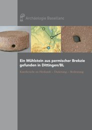 Kurzbericht zum Mühlstein von Dittingen - Archäologie Baselland