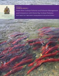 Fraser River Sockeye Fisheries and Fisheries Management - Cohen ...