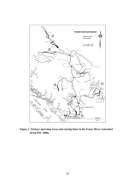 Fraser River Sockeye Fisheries and Fisheries Management - Cohen ...