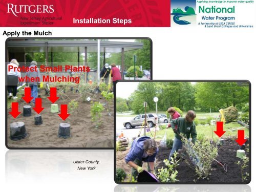 Rain Garden Site Selection and Installation - Rutgers Cooperative ...