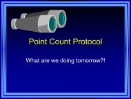 Point Count Protocol--Powerpoint