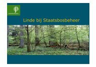 Linde bij Staatsbosbeheer - VeldwerkPlaatsen