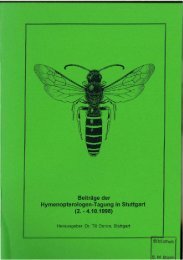 BeitrÃ¤ge der Hymenopterologen-Tagung in Stuttgart (2 ... - DGaaE