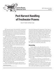 Post-Harvest Handling of Freshwater Prawns - SRAC Fact Sheets