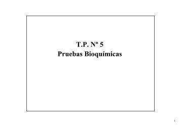 Pruebas Bioquímicas T.P. Nº 5