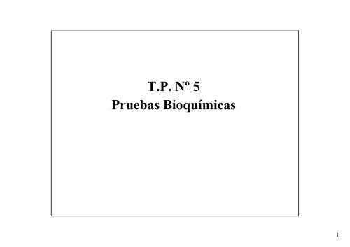 Pruebas Bioquímicas T.P. Nº 5