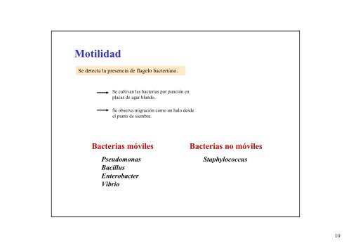 Pruebas Bioquímicas T.P. Nº 5