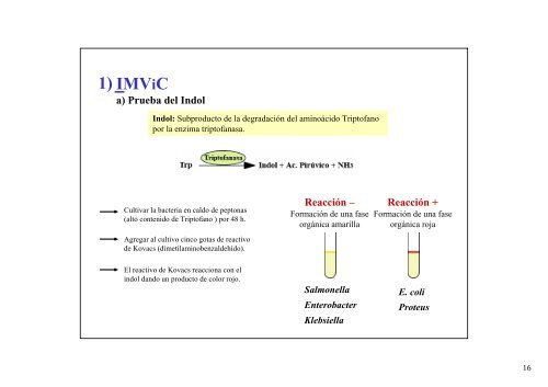 Pruebas Bioquímicas T.P. Nº 5