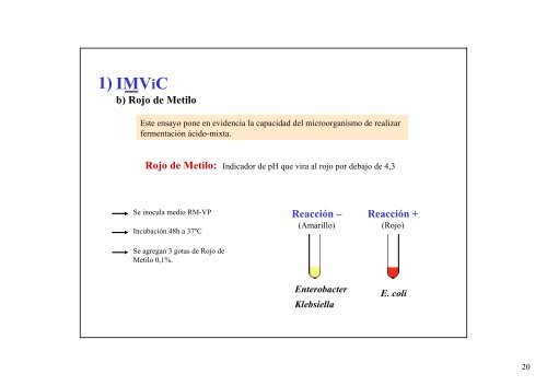 Pruebas Bioquímicas T.P. Nº 5