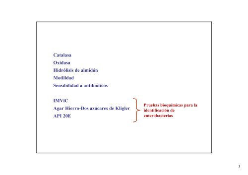 Pruebas Bioquímicas T.P. Nº 5