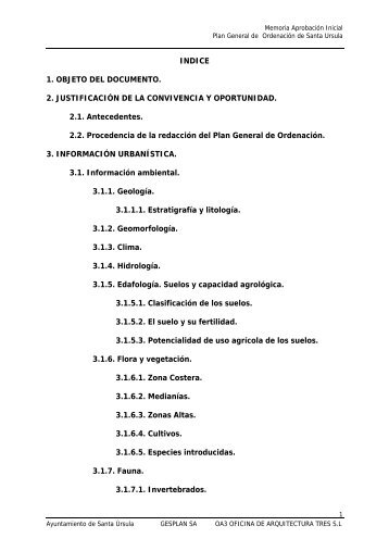 INDICE 1. OBJETO DEL DOCUMENTO. 2. JUSTIFICACIÃN DE LA ...