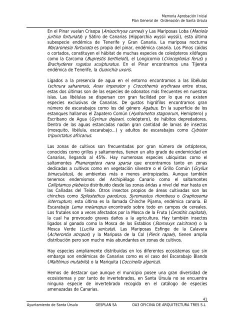 INDICE 1. OBJETO DEL DOCUMENTO. 2. JUSTIFICACIÃN DE LA ...