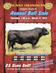 Sunny Okanogan Catalog 2013 - Sunny Okanogan Angus Ranch