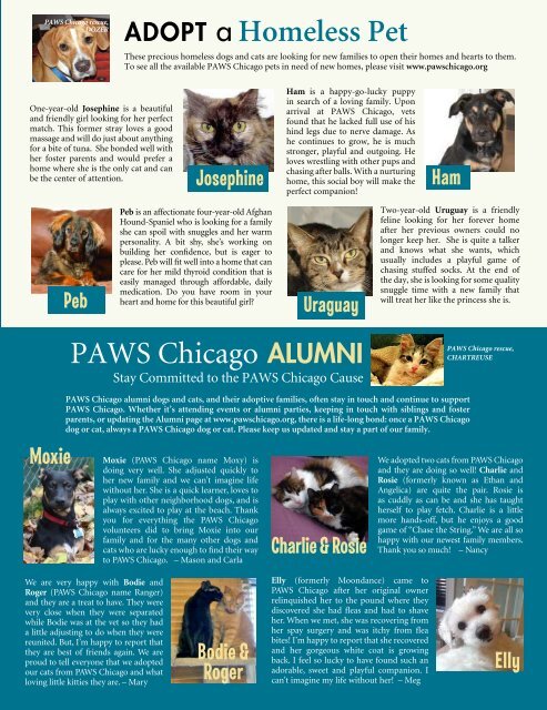 Summer 2010 - PAWS Chicago