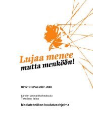 Opinto-opas 2007-2008, Tekniikka, Mediatekniikan koulutusohjelma