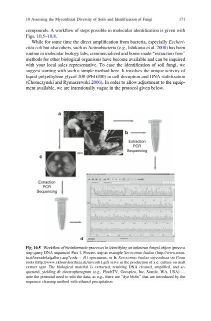 Symbiotic Fungi: Principles and Practice (Soil Biology)