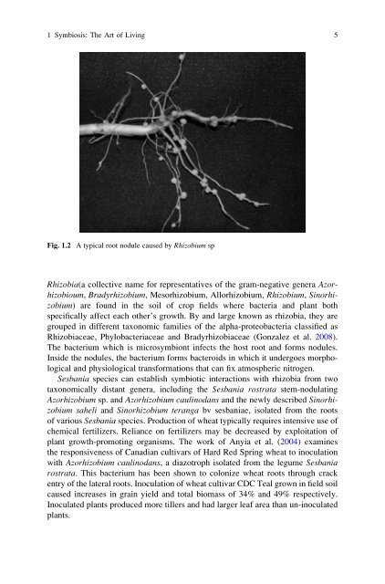 Symbiotic Fungi: Principles and Practice (Soil Biology)