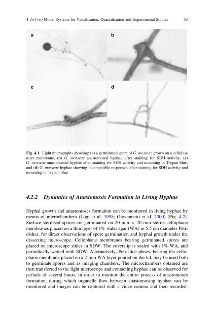 Symbiotic Fungi: Principles and Practice (Soil Biology)