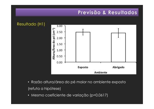 Gastrópodes dos costões rochosos