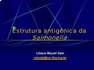 Estrutura antigÃªnica da Salmonella