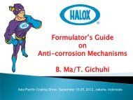 APCS presentation on corrosion mechanism.pdf - Halox