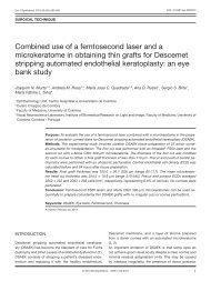 Combined use of a femtosecond laser and a ... - RIHUC