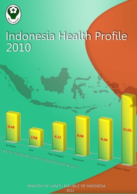 Indonesia Health Profile 2010