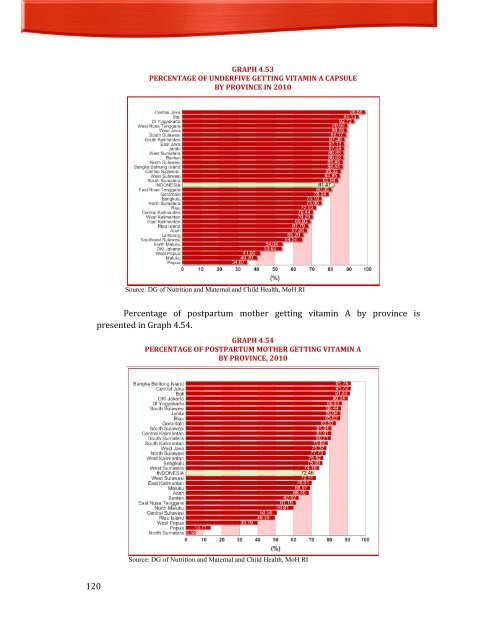 Indonesia Health Profile 2010