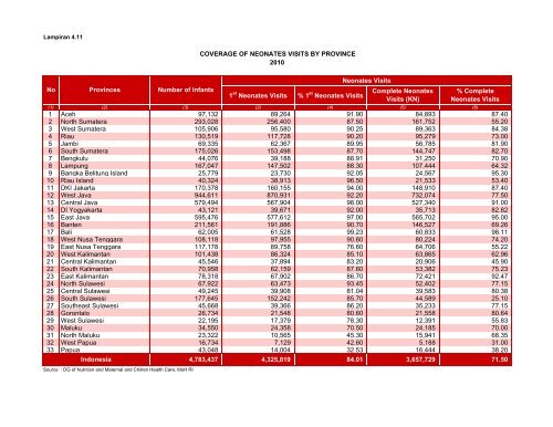 Indonesia Health Profile 2010