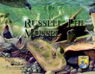 Russell the Mussel