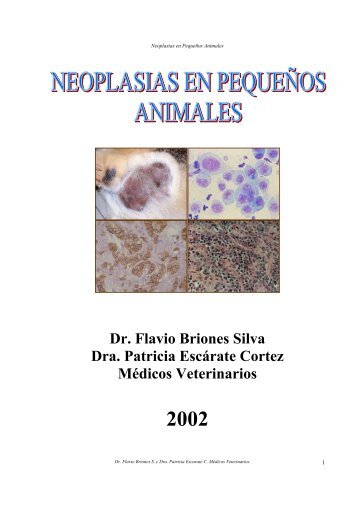 Neoplasias en Pequenos animales.pdf - HomeopatÃ­a y Medicina ...