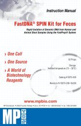 FastDNAÂ® SPIN Kit for Feces - MP Biomedicals