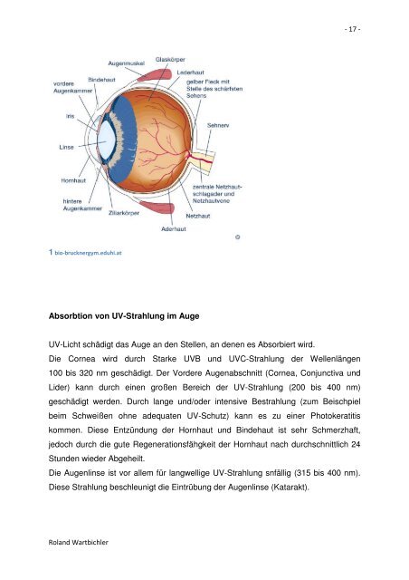 UV-Strahlung - Private HTL des Landes Tirol - Kolleg für Optometrie