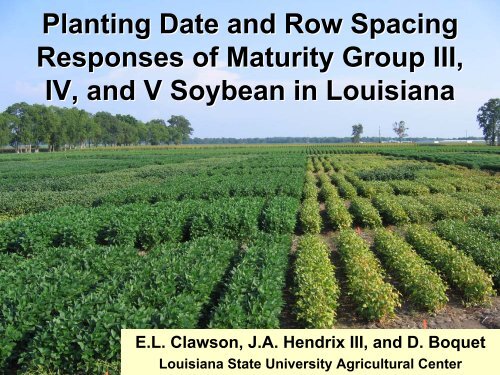 Planting Date and Row Spacing Responses of Maturity Group III, IV ...