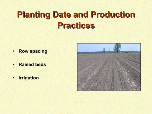 Planting Date and Row Spacing Responses of Maturity Group III, IV ...