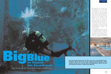 BigBlue Im Rausch des Sauerkrauts - tintenfisch - text und konzept