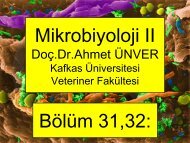 31,32 Klamidya-Riketsiya - Kafkas Ãniversitesi