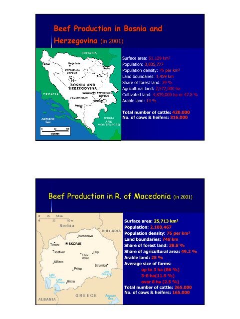 Beef Production in Croatia