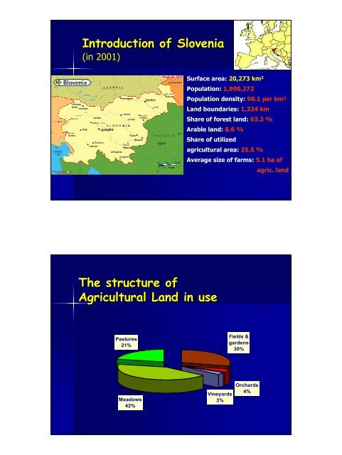 Beef Production in Croatia