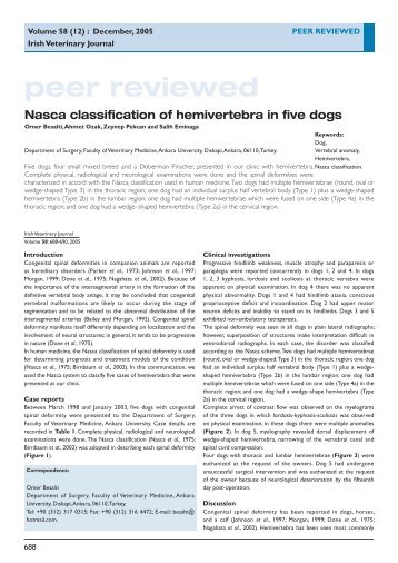 Nasca classification of hemivertebra in five dogs - Irish Veterinary ...