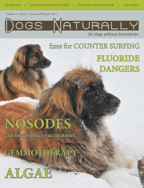 January/February 2011 - Dogs Naturally Magazine