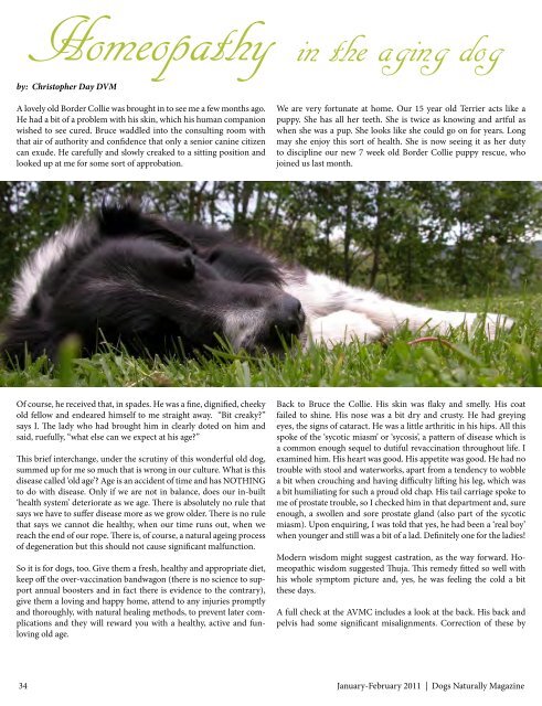 January/February 2011 - Dogs Naturally Magazine