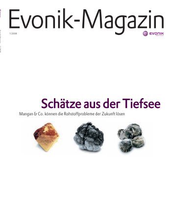 Evonik Magazin 1/2008 - Evonik Industries