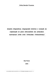 Relações filogenéticas, biogeografia histórica e evolução da ...