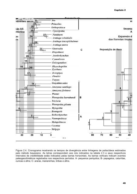 Relações filogenéticas, biogeografia histórica e evolução da ...