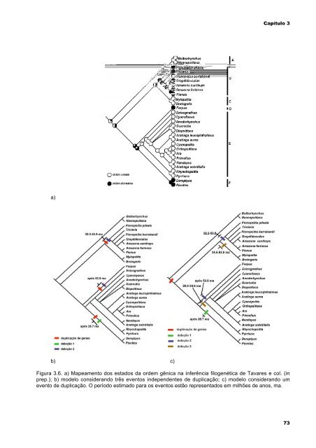 Relações filogenéticas, biogeografia histórica e evolução da ...