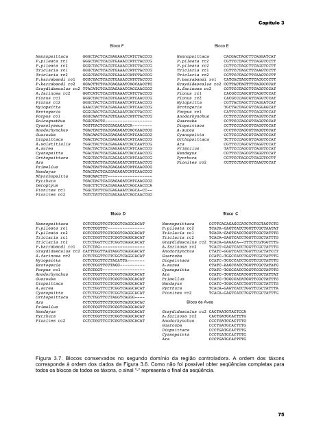 Relações filogenéticas, biogeografia histórica e evolução da ...